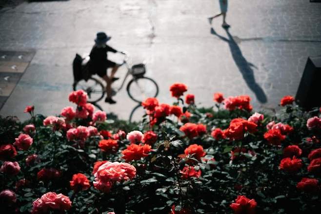 029aef00d0f811804793fbf515dd252ee400ba33bfbf9c0806385f162a8ab2ac1940fb27db787a7b14bf9aed04a904da98f79561dadbae254d