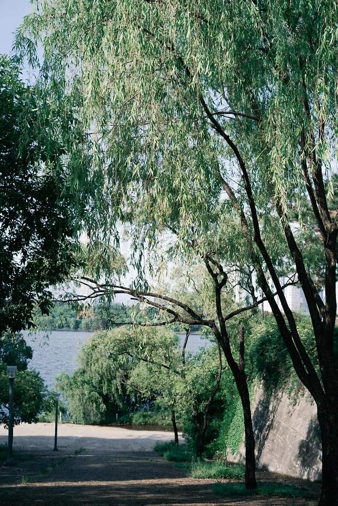 029aef00d0f811804793fbf515dd252ee400ba33bfbf9c0806385f162a8ab2ac1940fb27da70747814bf9aed04a904daa2c09b0a5bf683e4fd