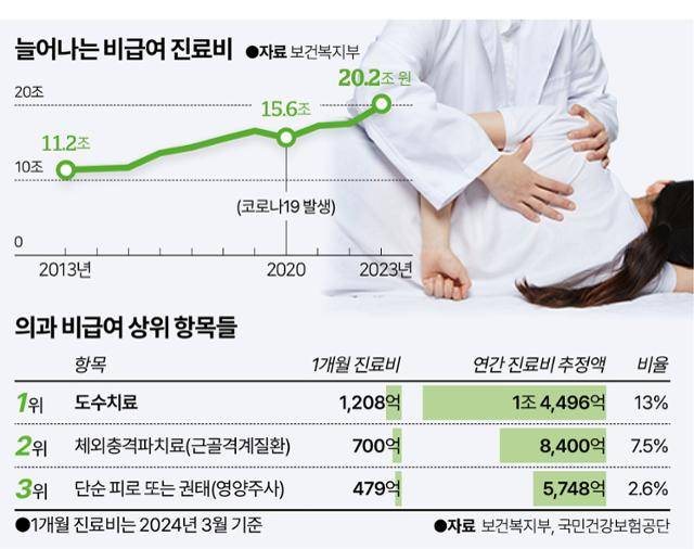 늘어나는 비급여 진료비. 그래픽=이지원 기자