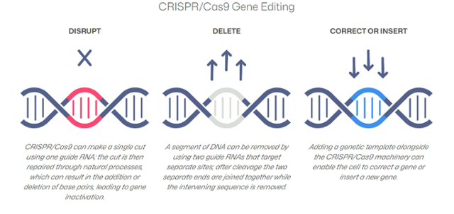 크리스퍼 유전자 가위 기술을 활용한 유전자 편집 개념도. 유전자의 특정 부위(왼쪽 그림 빨간색 부분)를 찾아내 정확히 잘라낸(가운데 그림 회색 부분) 다음, 이어 붙이거나 새 유전자 조각을 끼워넣을(오른쪽 그림 파란색 부분) 수 있다. 크리스퍼 테라퓨틱스 제공