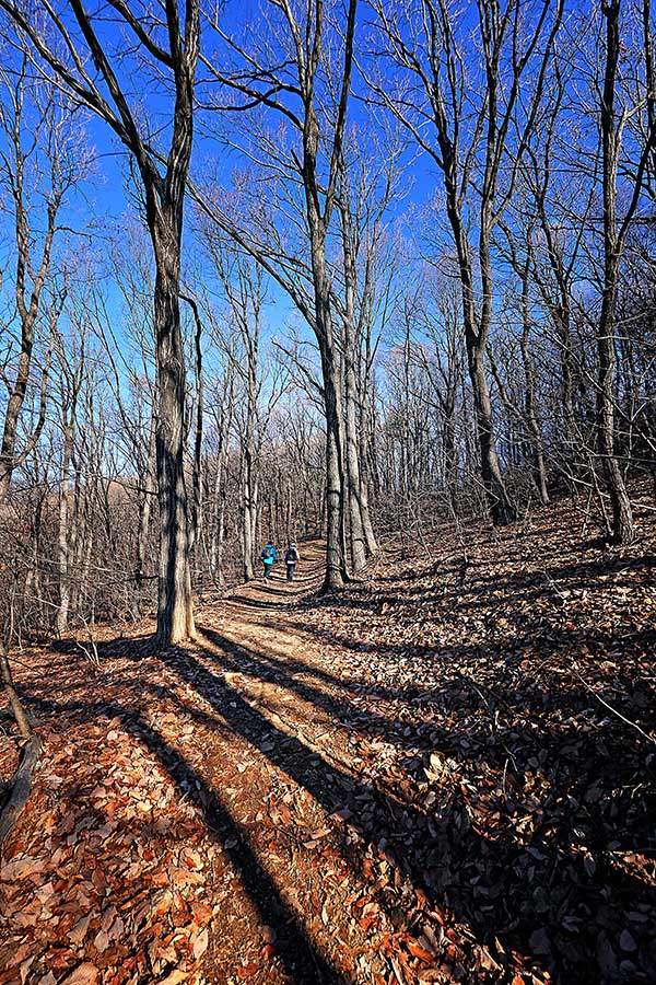 꾸준히 오르내림이 있지만 비교적 완만해 어렵지 않다.&nbsp;