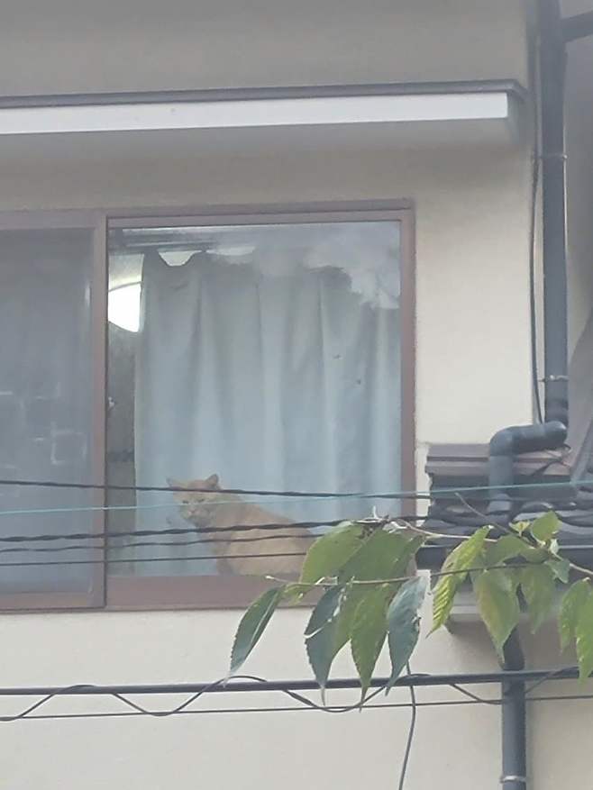 3fb8c32fffd711ab6fb8d38a4486766d43661743c8653592656be923561174f0d4f65a9e0f8f9d56fb6a7a17fa1e