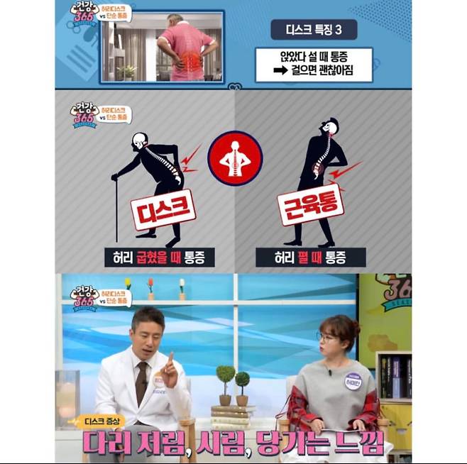 허리디스크 vs 단순 근육통 구별하는 방법