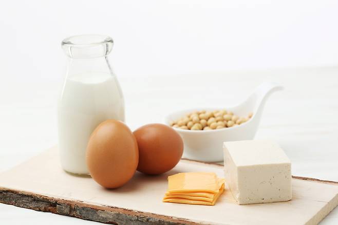 단백질 공급원[게티이미지뱅크]