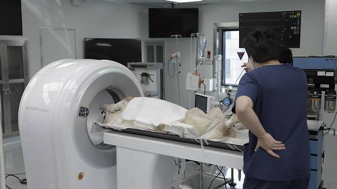 [서울=뉴시스] 10일 헬스케어업계에 따르면 최근 인공지능(AI) 등 첨단 기술을 적용한 반려동물 맞춤형 의료기기, 상담서비스 등이 시장에서 경쟁을 펼치고 있다. 사진은 동물병우너 전용 CT를 활용해 대형견 오브차카를 검사하고 있는 모습.  (사진=우리엔 제공) *재판매 및 DB 금지