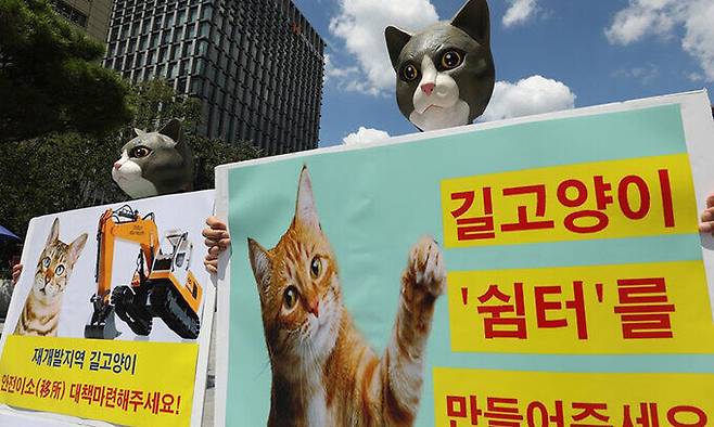 한국동물보호연합 회원들이 서울 광화문광장에서 길고양이 안전 이주 대책을 촉구하고 있다. 뉴스1