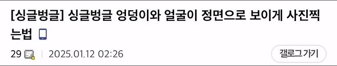 IMG_7905.jpeg 항문과 얼굴이 정면으로 보이게 사진찍는 방법