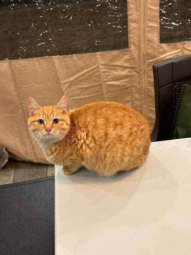 79e58070b2f61df523ee86ec479c70651bd82bef3023f25853f7240a41e002f568c1621527b49ef13db37ae49a504478f353c6536f