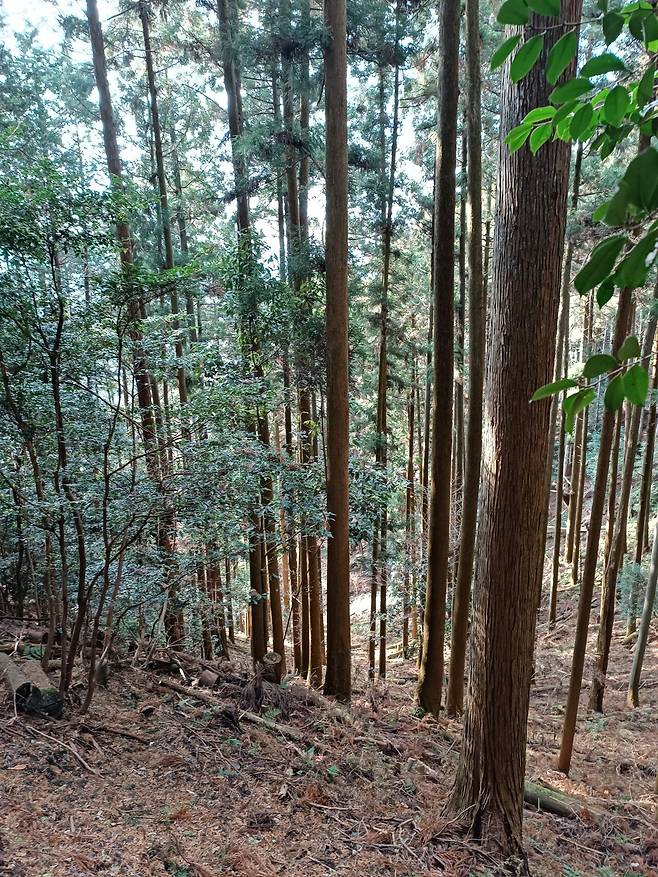 신년맞이 해먹자캠