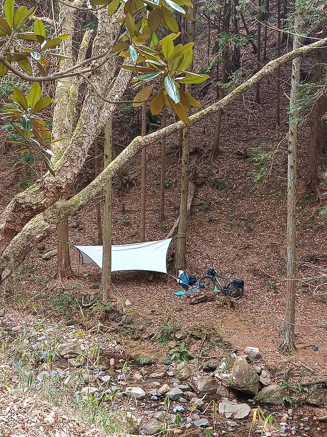 신년맞이 해먹자캠