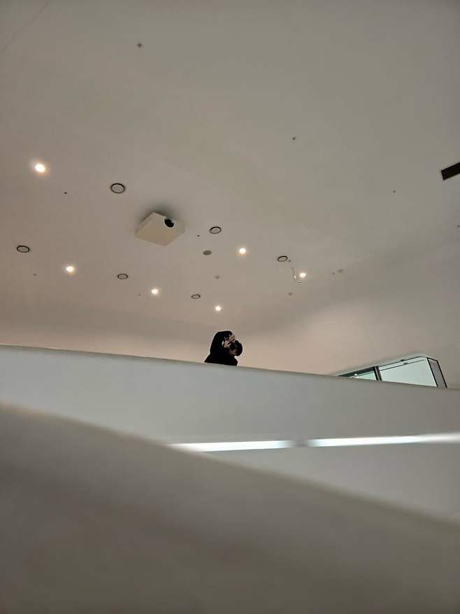 749ff671b7f76bf323e681e6339c7019e4ba6428ddd8f6486f4b354656347b5926d64ce778a05a9aa313bedb9f065bb10662b0c1d4