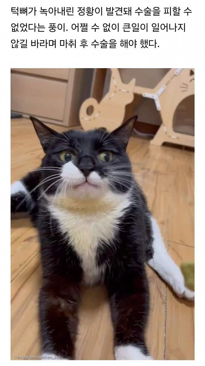 1ebec223e0dc2bae61abe9e74683716d95d523a0bc059af4f85ad4b0b7f14e8d2c094e47e9f73ea340547b7c5310c269791a