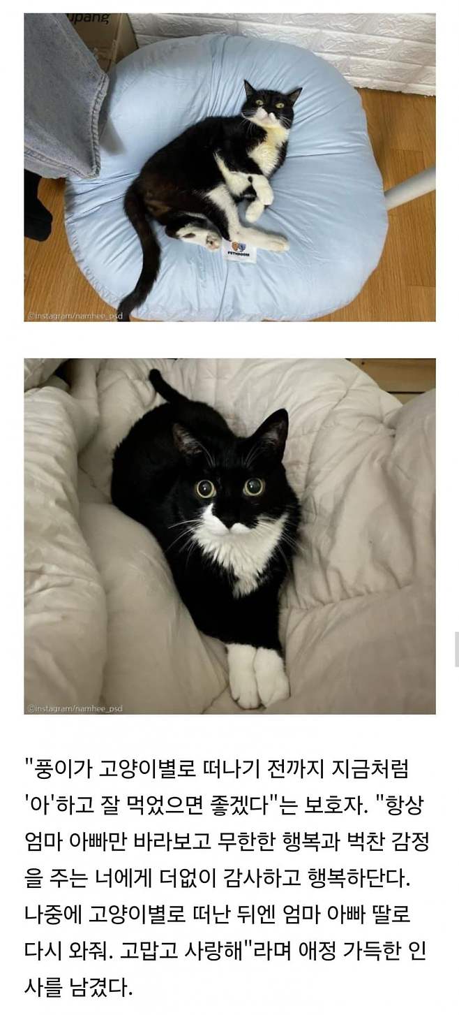 1ebec223e0dc2bae61abe9e74683716d95d523a0bc059af7fe53d4b0b7f14e8d78c67d01844f6d1fb98fc8d2abbaaf272c90