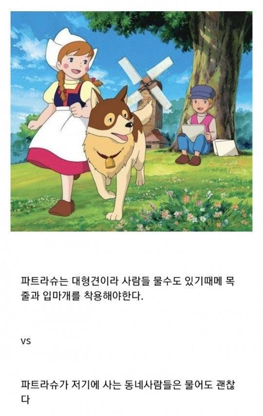 의외로 갈린다는 파트라슈 입마개 논쟁.jpg
