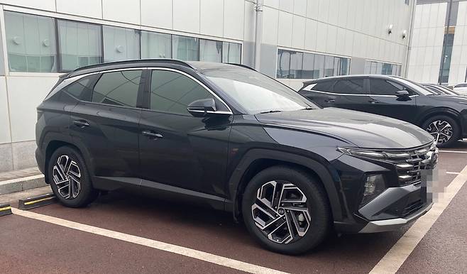 해당 사진은 기사 본문과 관계없습니다. [독자 제공]