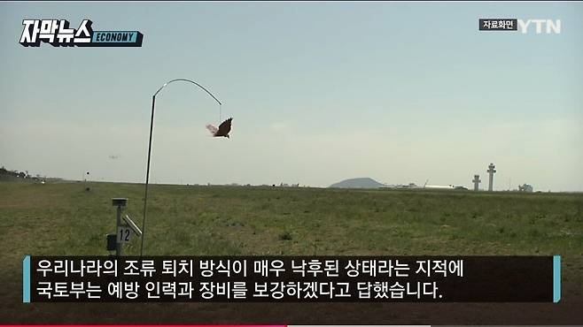 SmartSelect_20250115_194221_YouTube.jpg 공항 조류 퇴치 시설 이거 실화인가?