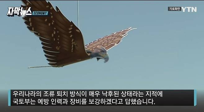 SmartSelect_20250115_194231_YouTube.jpg 공항 조류 퇴치 시설 이거 실화인가?