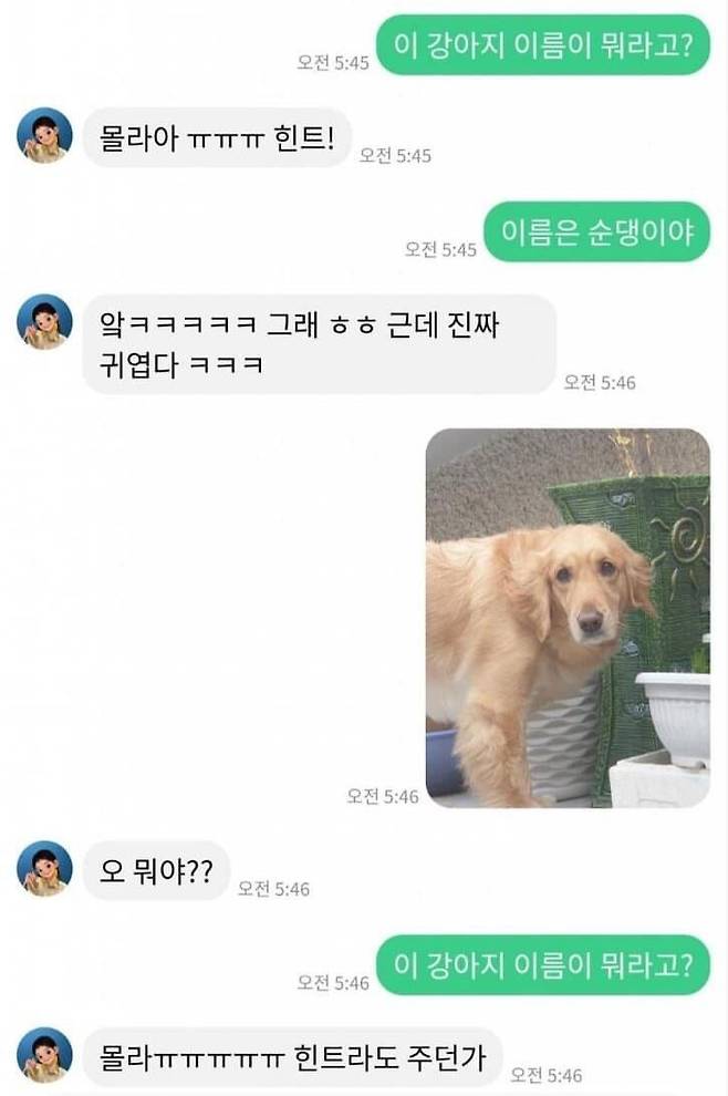IMG_1679.jpeg 치매걸린 여자친구와 채팅