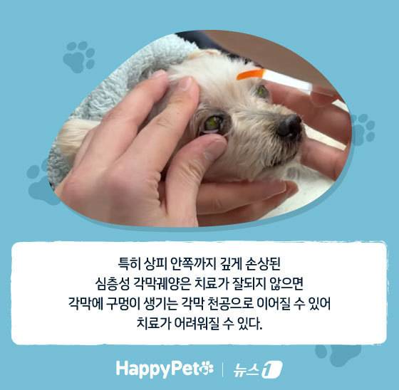 ⓒ News1 김지영 디자이너