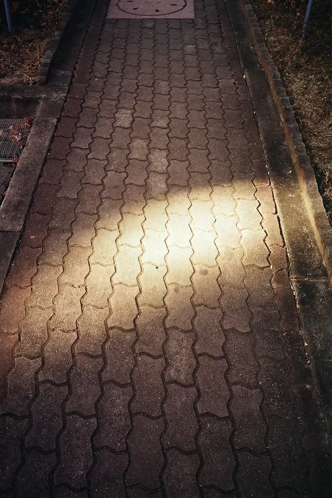 7ceb9e31e0d0288650bbd58b36857c65ea1e8416