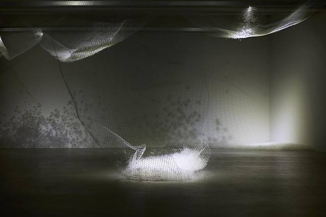 부산 해운대구 달맞이길 조현화랑에서 열리고 있는 황지해 정원 작가의 전시 ‘물이 오를 때’. 조현화랑 제공