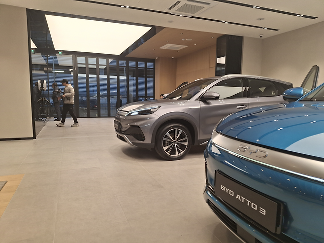 BYD 강서지점 전시장에 전시된 아토 3 자동차들 [김성우 기자]