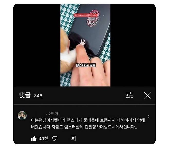 햄스터 지문인식의 위험성