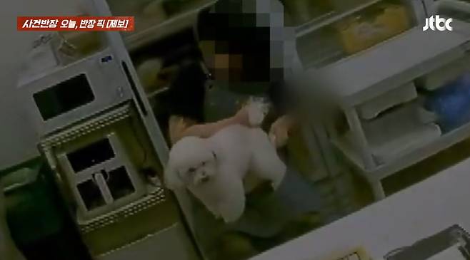 지난 17일 JTBC '사건반장'에는 지난 16일 서울 동대문구의 한 요거트 아이스크림 매장에서 직원이 주방에서 강아지 발과 항문을 물티슈로 닦은 뒤, 손을 씻지도 않고 배달 음식 포장을 했다는 제보 영상이 공개됐다. /사진=JTBC '사건반장' 방송 화면