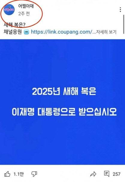 (사진 = ‘어쩔아재’ 유튜버 채널 화면 갈무리, 국민의힘 미디어특별위원회 배포)