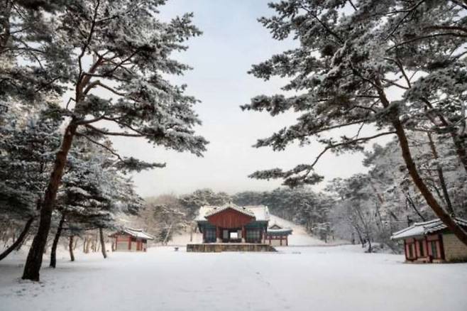 동구릉 건원릉[사진=국가유산청 제공]