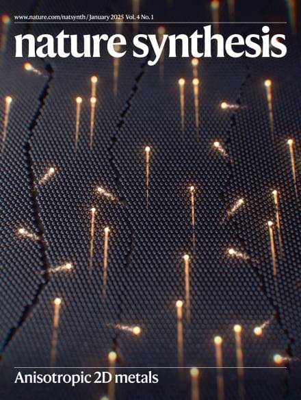 심우영 연세대 교수가 이끄는 연구진이 국제 학술지 '네이처 신세시스' 표지 논문으로 실리콘을 대체할 금속 반도체 소자를 소개했다. 기존 금속보다 1000배 이상 비등방성이 우수해 연산 성능을 높일 수 있다./네이처 신세시스