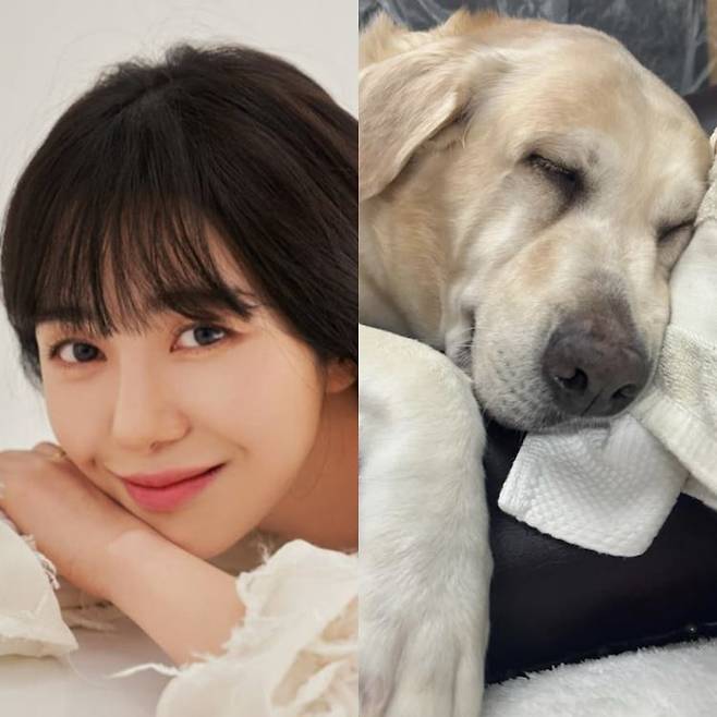 사진=권민아 SNS.