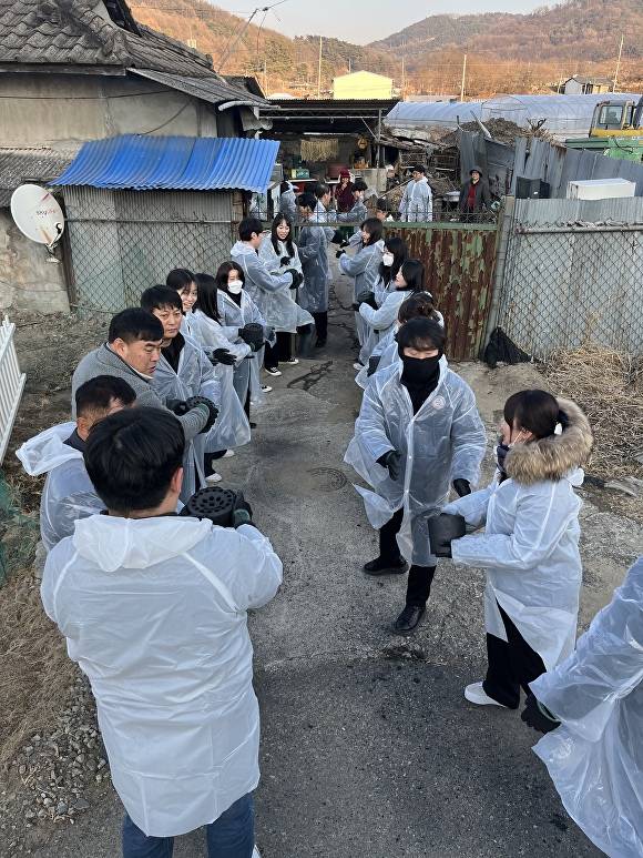 성주군청 직원들이 연탄나눔봉사 활동을 펼치고 있다 [사진=성주군]