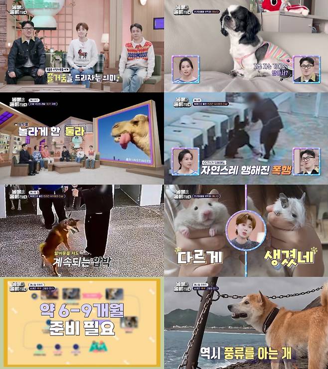 예능 '동물은 훌륭하다' (제공: KBS2)