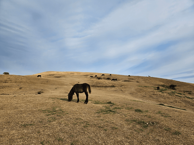 7cef8074b08269f73f8087e04583716e0ce28ef296bb1eb67bfdbc18ec54a97ff2