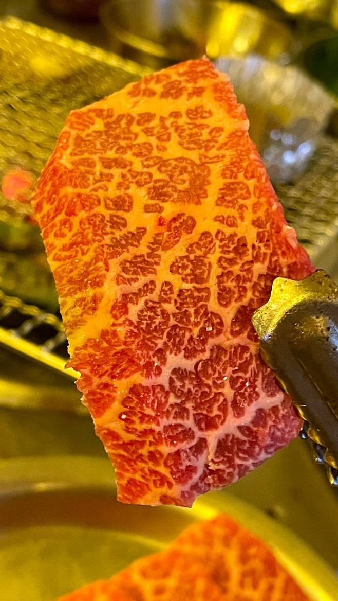 KakaoTalk_20250117_235556293_02.jpg 신포동 소고기