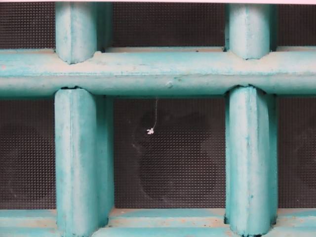 ▲ 1500년 고찰 고성 금강산 건봉사의 부처님 치아사리를 봉안한 적멸보궁에 지난해 12월 30일 개찰 이래 처음으로 ‘우담바라’로 추정되는 꽃이 피어난 것이 알려지자 전국의 불자·관광객들이 문전성시를 이루는 등 화제가 되고 있다. 전인수