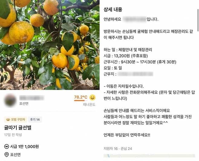 당근알바에 올라온 감귤 따기 알바 구인 공고/사진=당근마