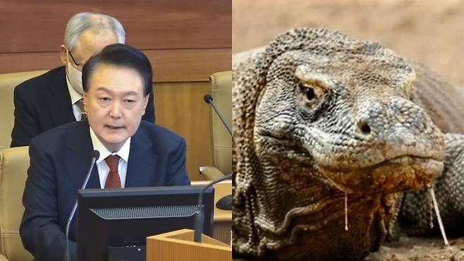 21일 헌법재판소 3차 변론기일에 출석한 윤석열 대통령(왼쪽)과 한동수 전 대검 감찰부장이 올린 사진. 연합뉴스, 페이스북 갈무리