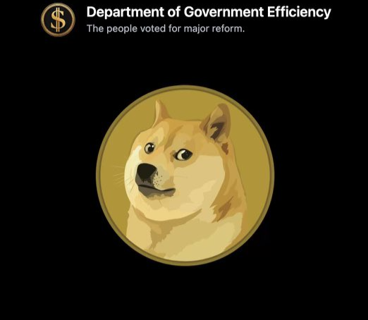 ‘미국 정부효율 서비스’(United States DOGE Service·USDS) 웹사이트 화면. 도지코인 상징 그림이 첫 화면에 등장했다. [DOGE 웹사이트]
