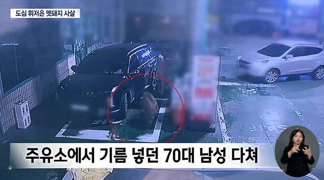 사진=대구 MBC 캡처