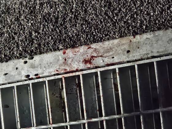 19일 오전 서부지법 경내에서 폭력 가담자의 것으로 추정되는 혈흔이 곳곳에 있었다. 이영근 기자