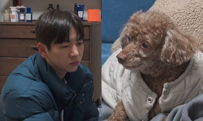 ▲ 제공|MBC '나 혼자 산다'