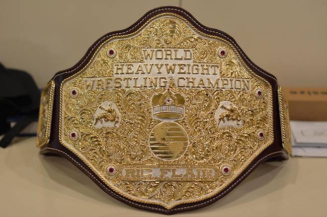 전설의 빅골드벨트 릭플레어 버전