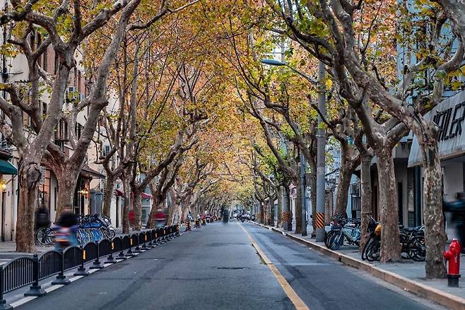 유럽 스타일의 건물을 만날 수 있는 우캉루. 사진=트립닷컴