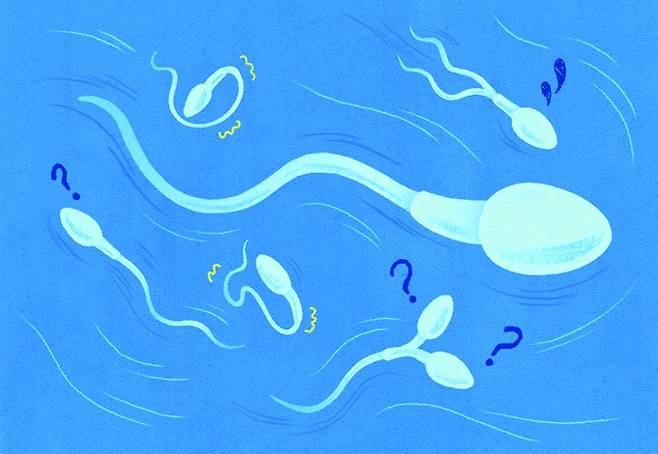 정자는 빙글빙글 돌면서 앞으로 나아간다. 과학동아 제공