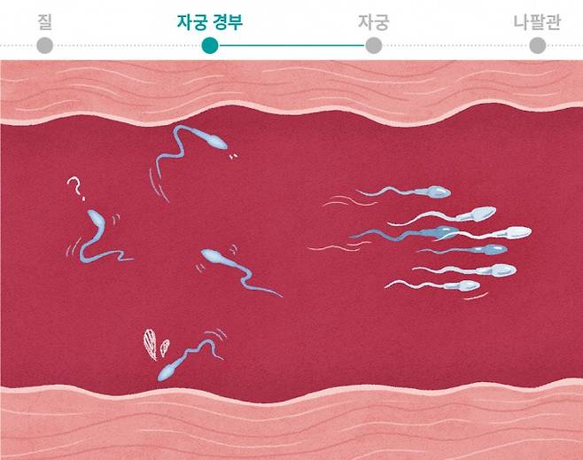 끈적이는 환경 버티려면 뭉쳐야한다. 과학동아 제공&nbsp;