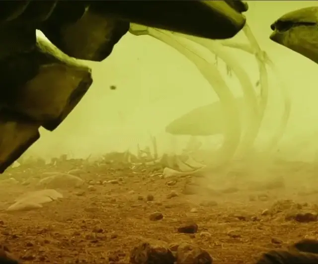 한국영화 오마주한 미국영화