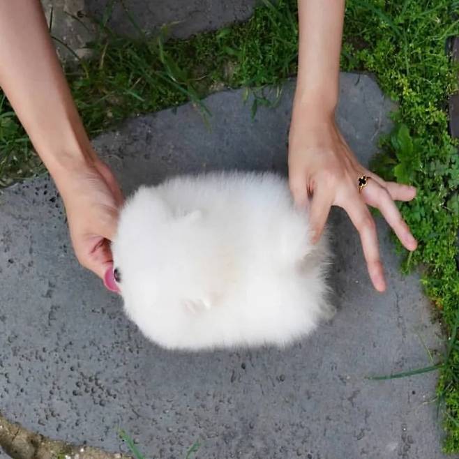 단팥 살짝 삐져나온 호빵.jpg