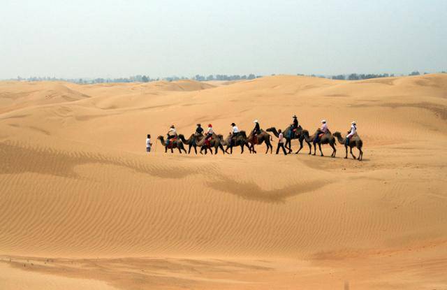 쿠부치 사막의 낙타 타기 체험. ⓒ최종명